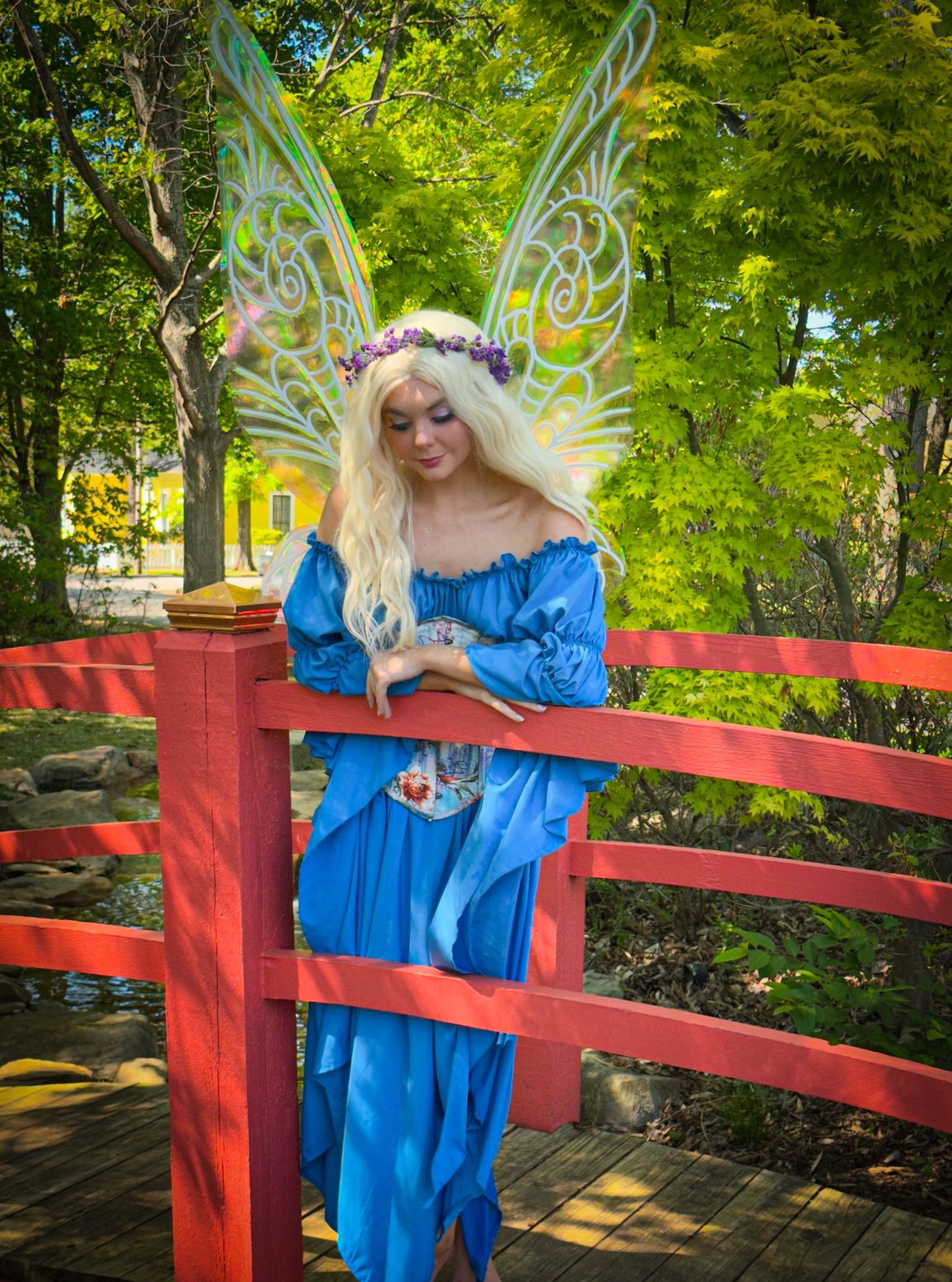 Midsummer nights Dream fairy costume